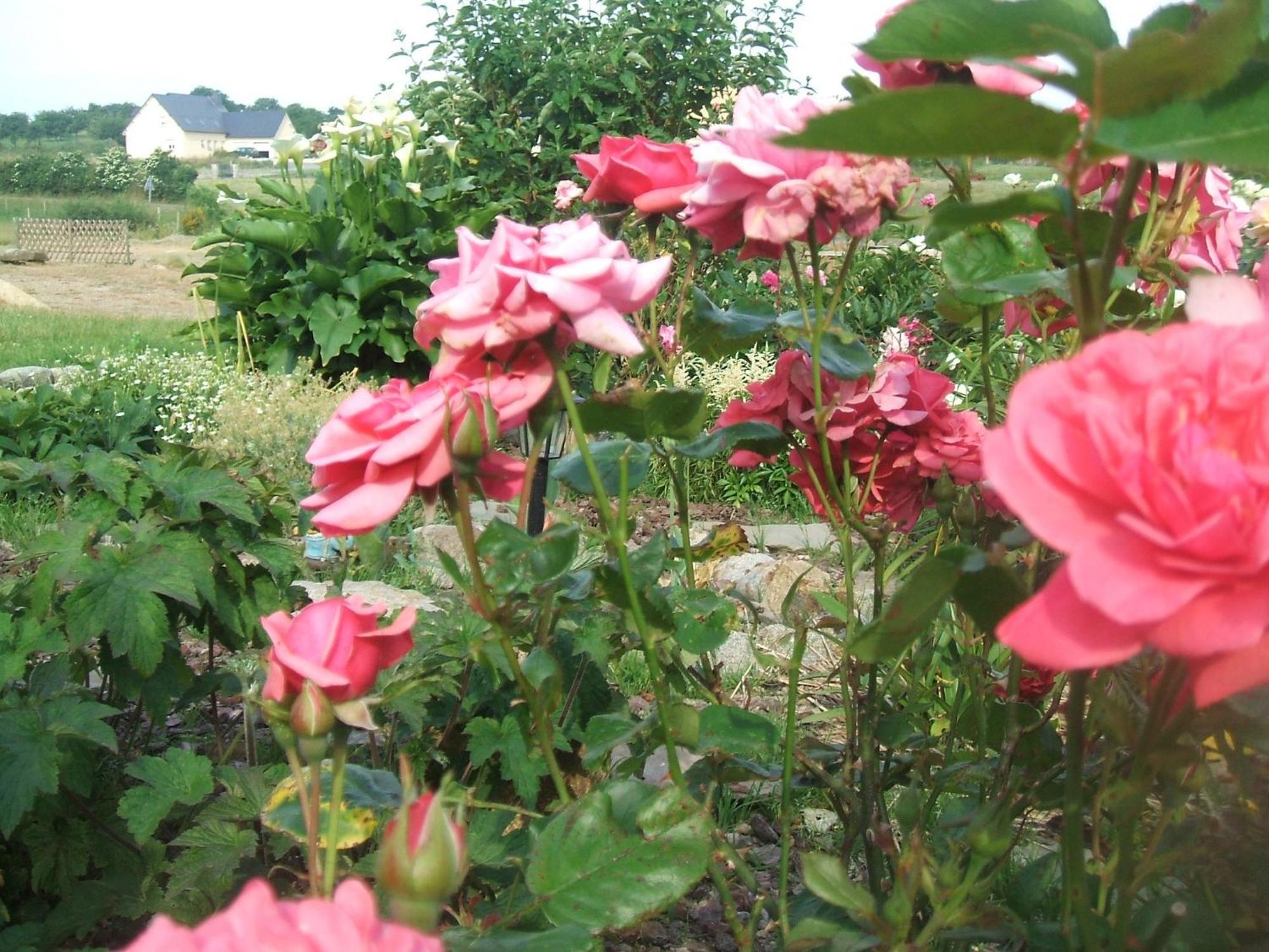 Les Sources Bed & Breakfast Poilley  Exterior foto